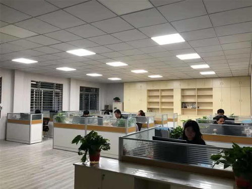 揚州玉器廠迎戰雙十一 電商中心啟用，民辦培訓機構助陣